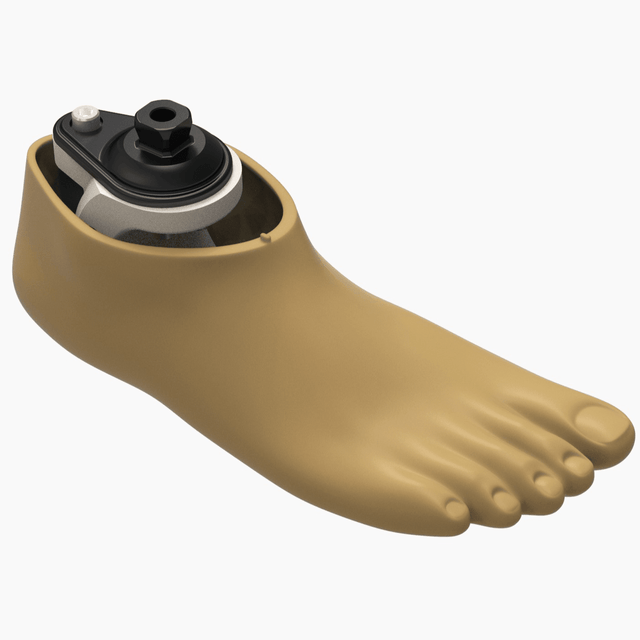 Prosthetic Feet - Qaadir - Ability for All