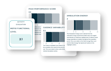 Amparo Motio Functional Reports Software