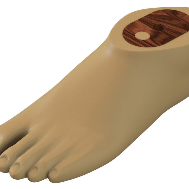 Fupro SACH Foot - Qaadir - Ability for All